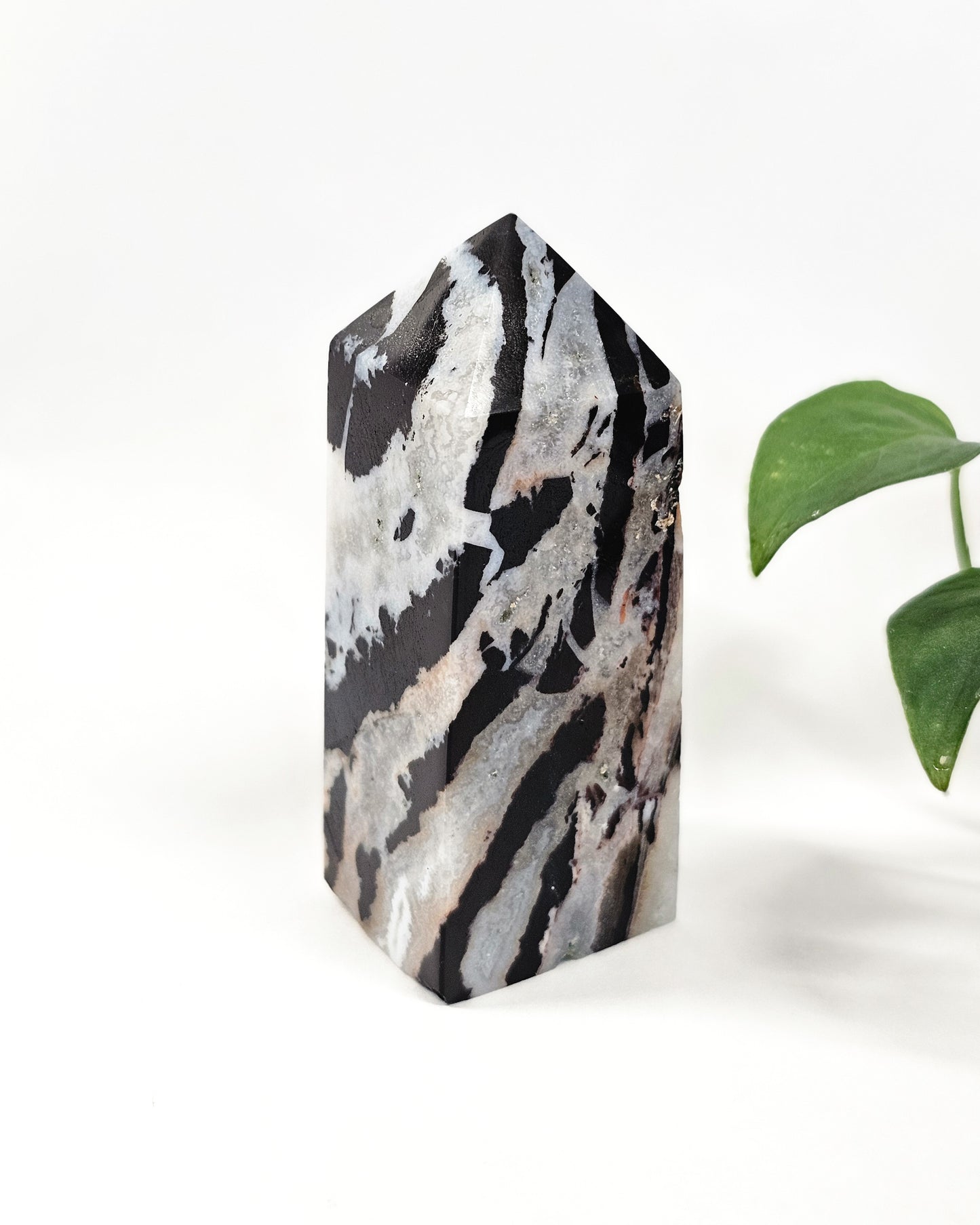 Zebra Jasper Point