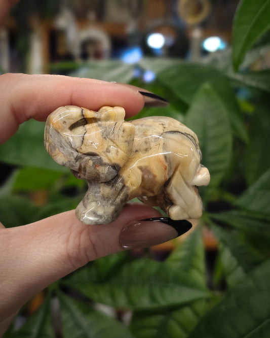 Crazy Lace Agate Elephant Carving