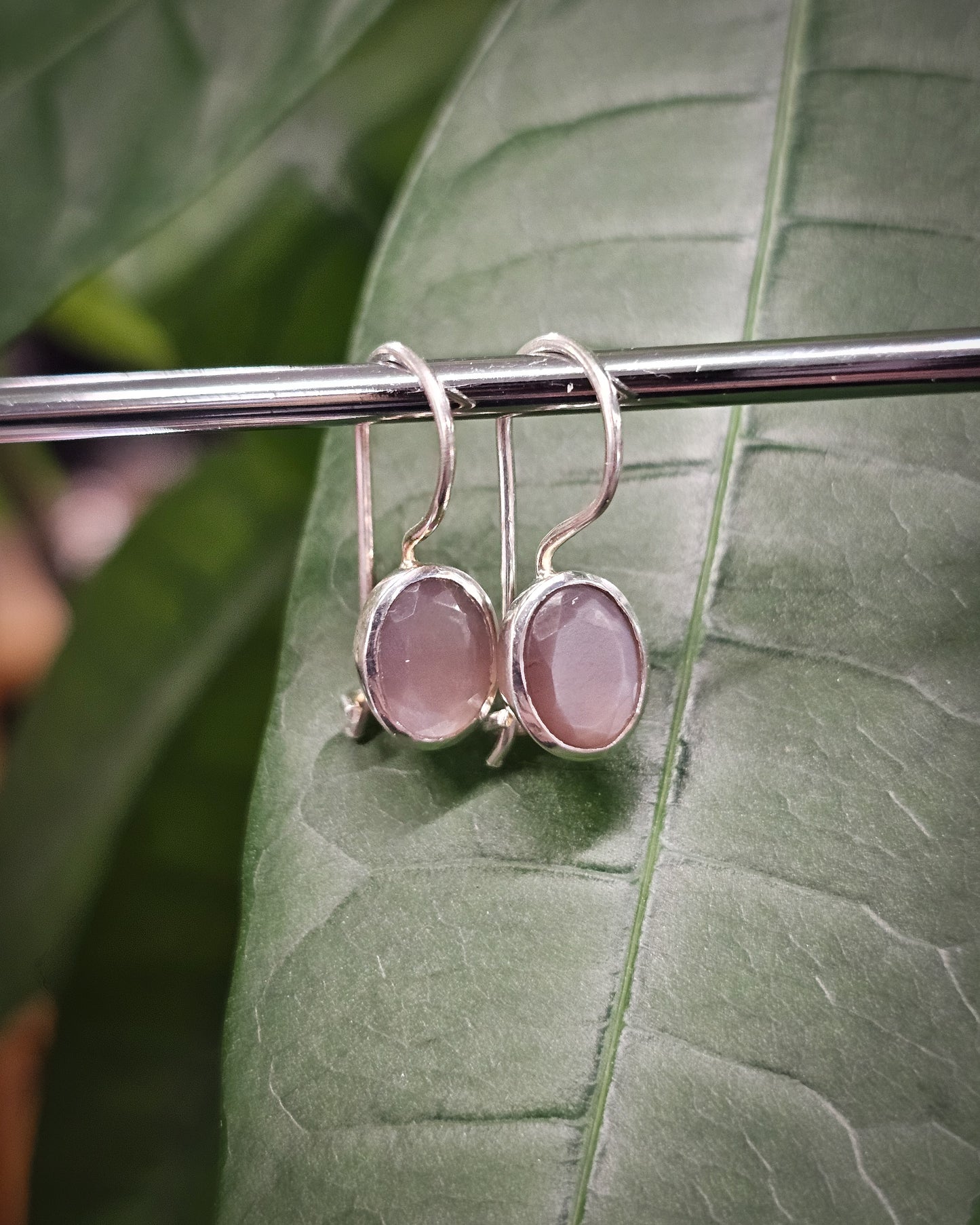 Grey Moonstone Earrings