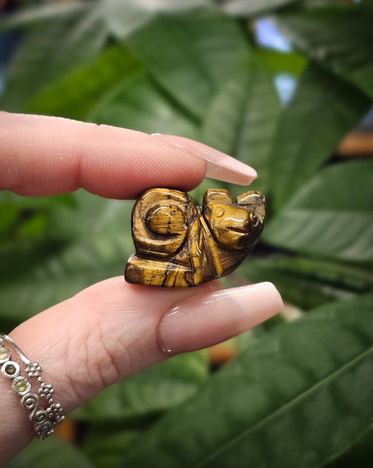 Tiger’s Eye Snail Carving