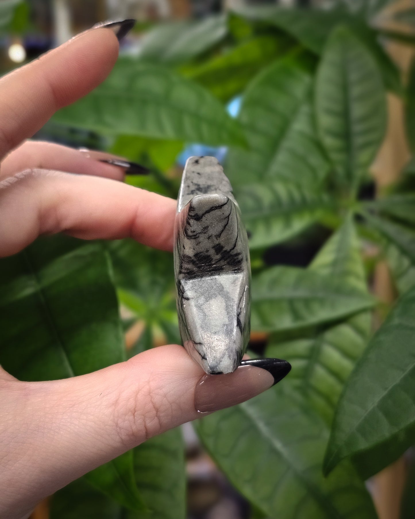 Spiderweb Jasper Star
