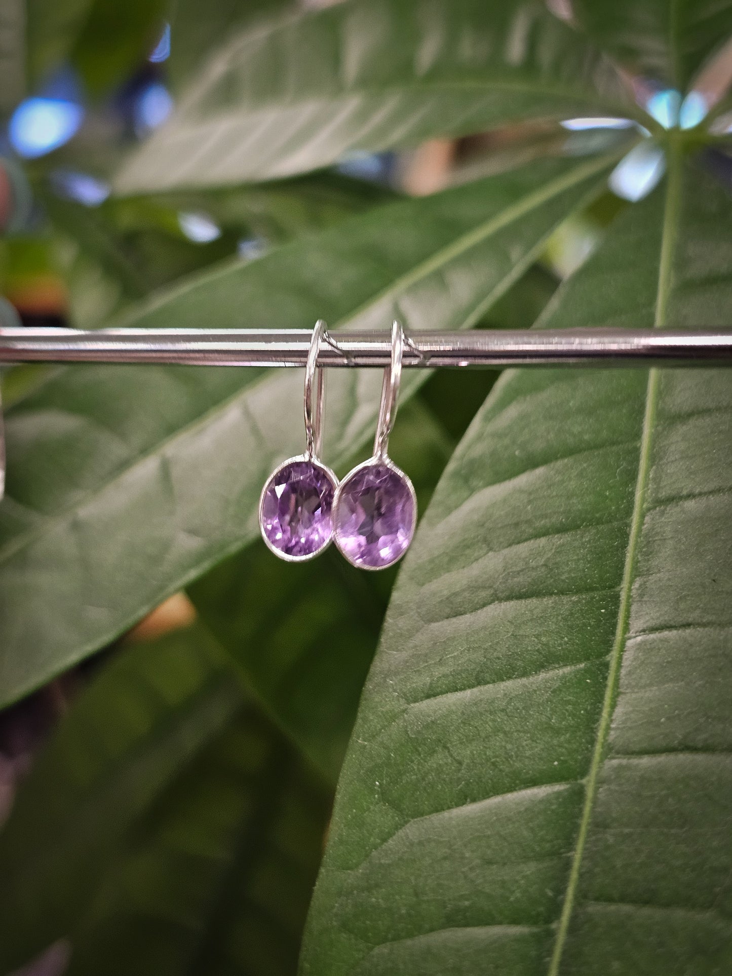 Amethyst Earrings