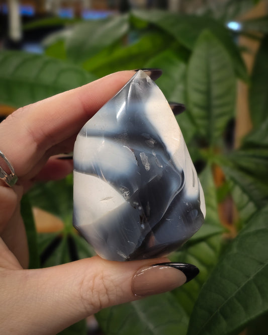 Orca Agate Flame