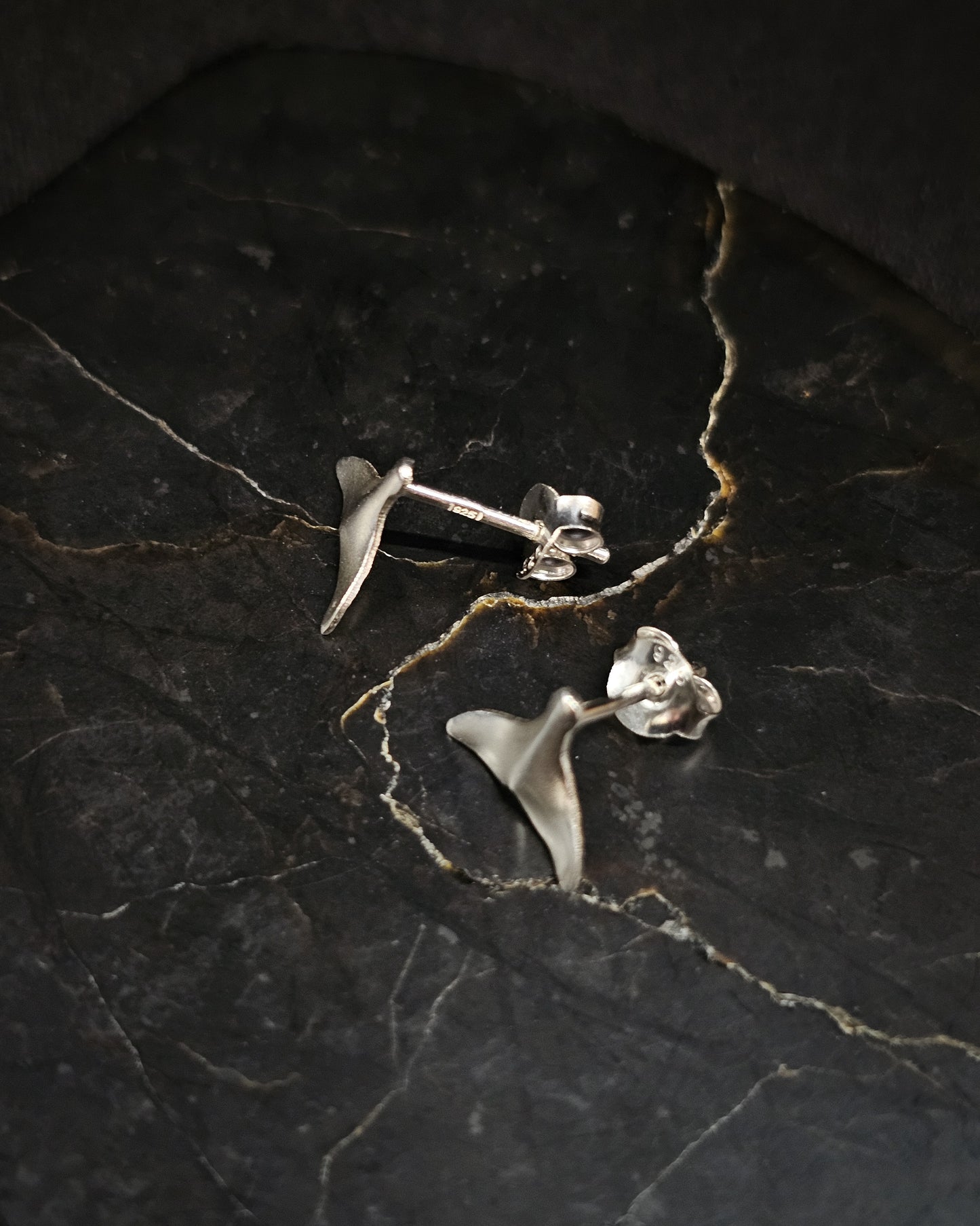 Whale Tail Studs