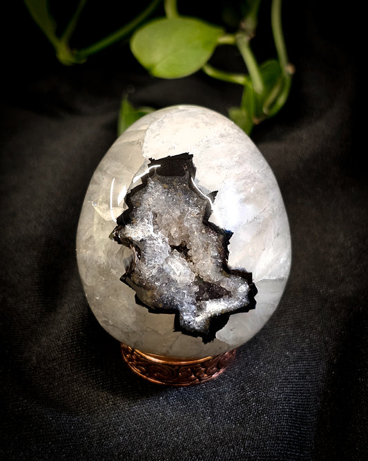 Black Banded Agate Egg #2