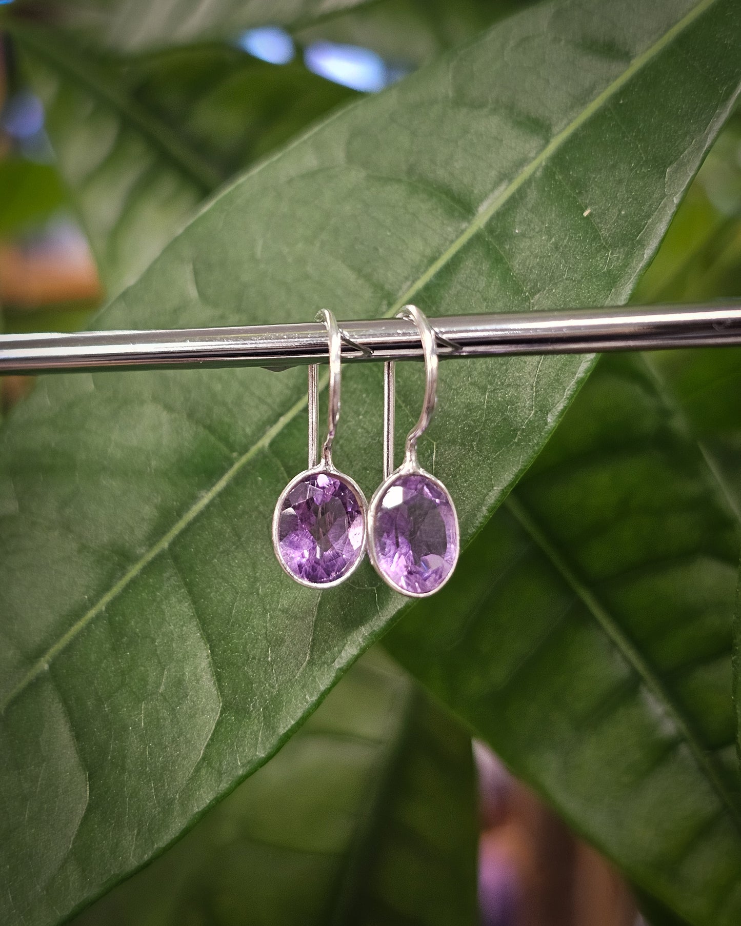 Amethyst Earrings