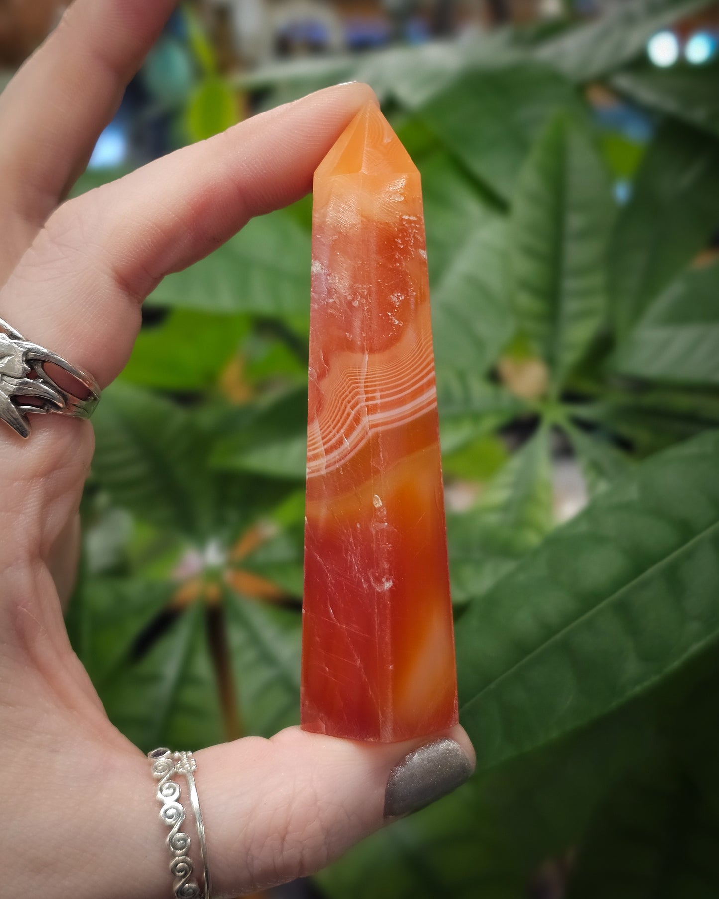 Carnelian Point #2