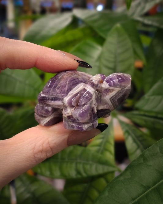 Chevron Amethyst Turtle