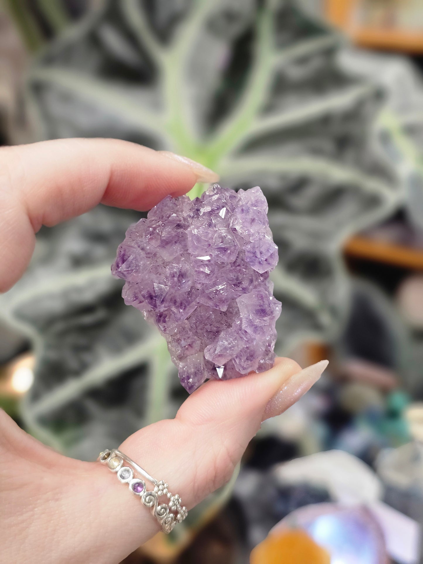Amethyst Pine Cluster #3