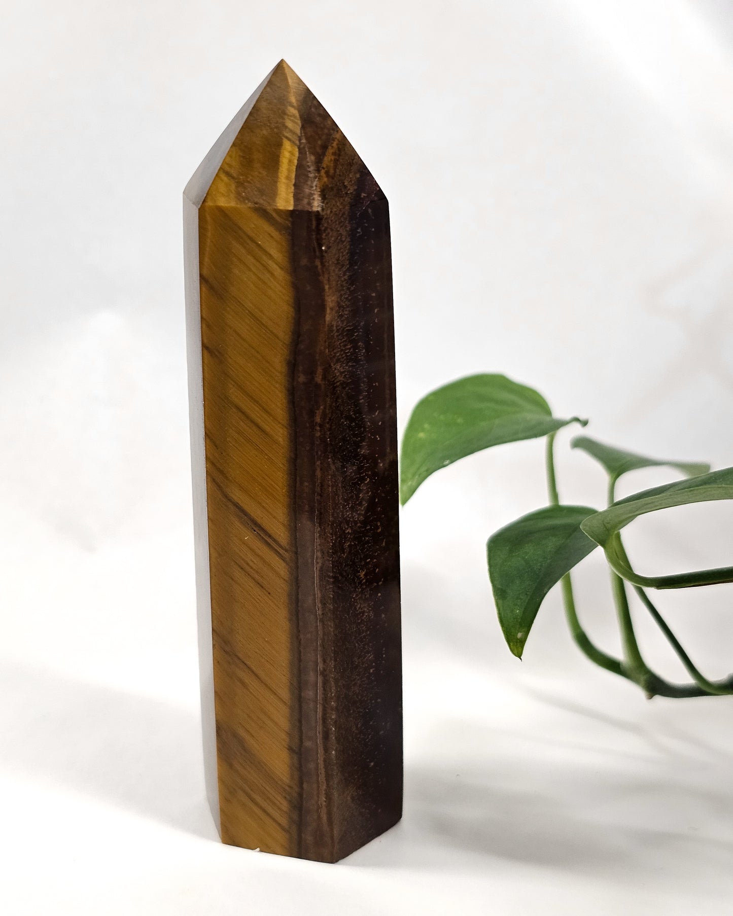 Tiger's Eye Point