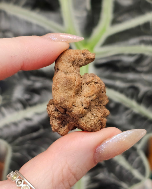 Copralite (Dino Poop)