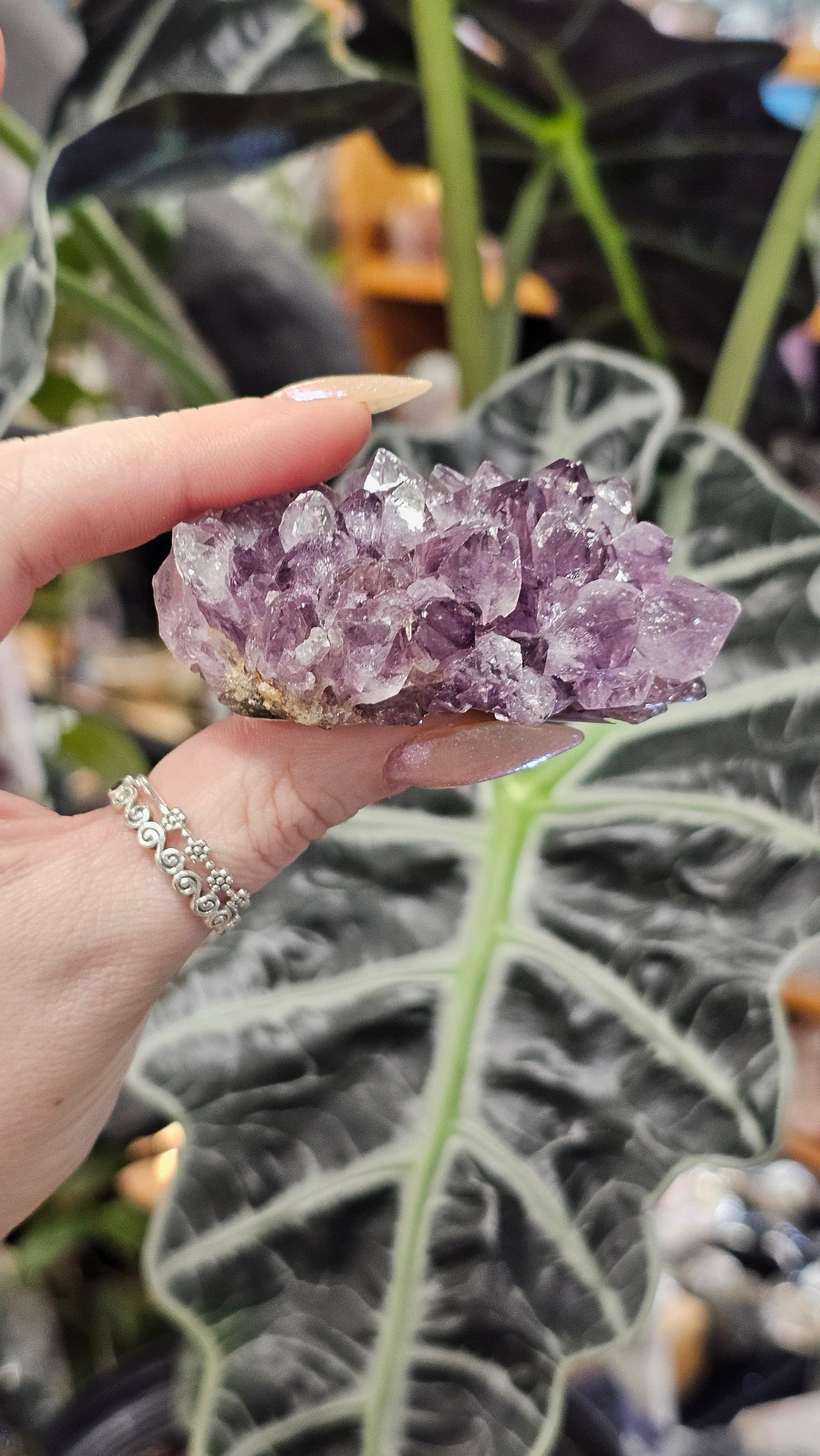 Amethyst Pine Cluster #2