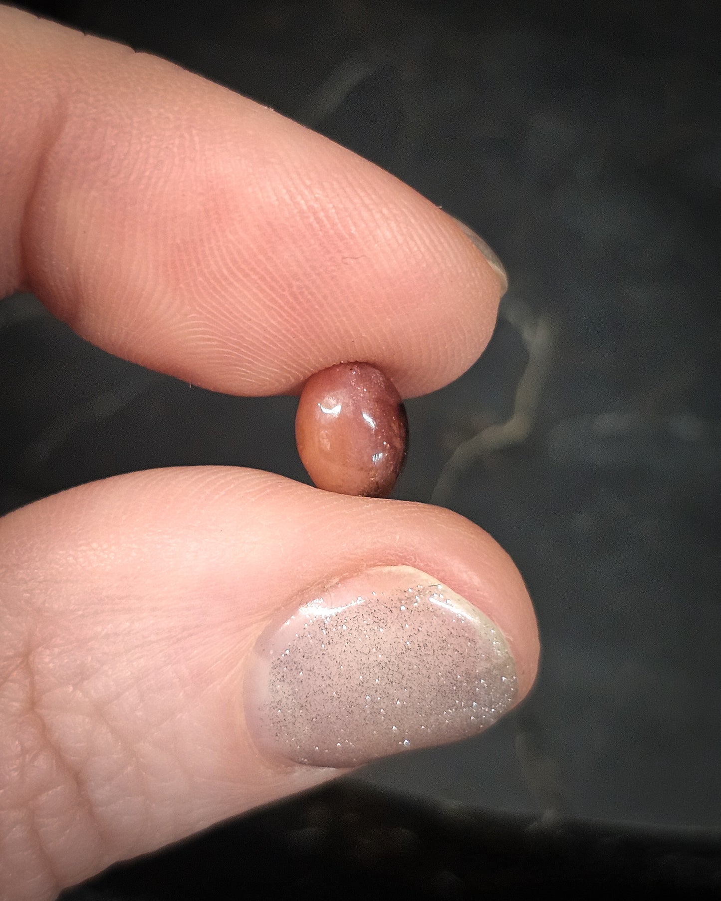 Rhodonite Cabochon .33g