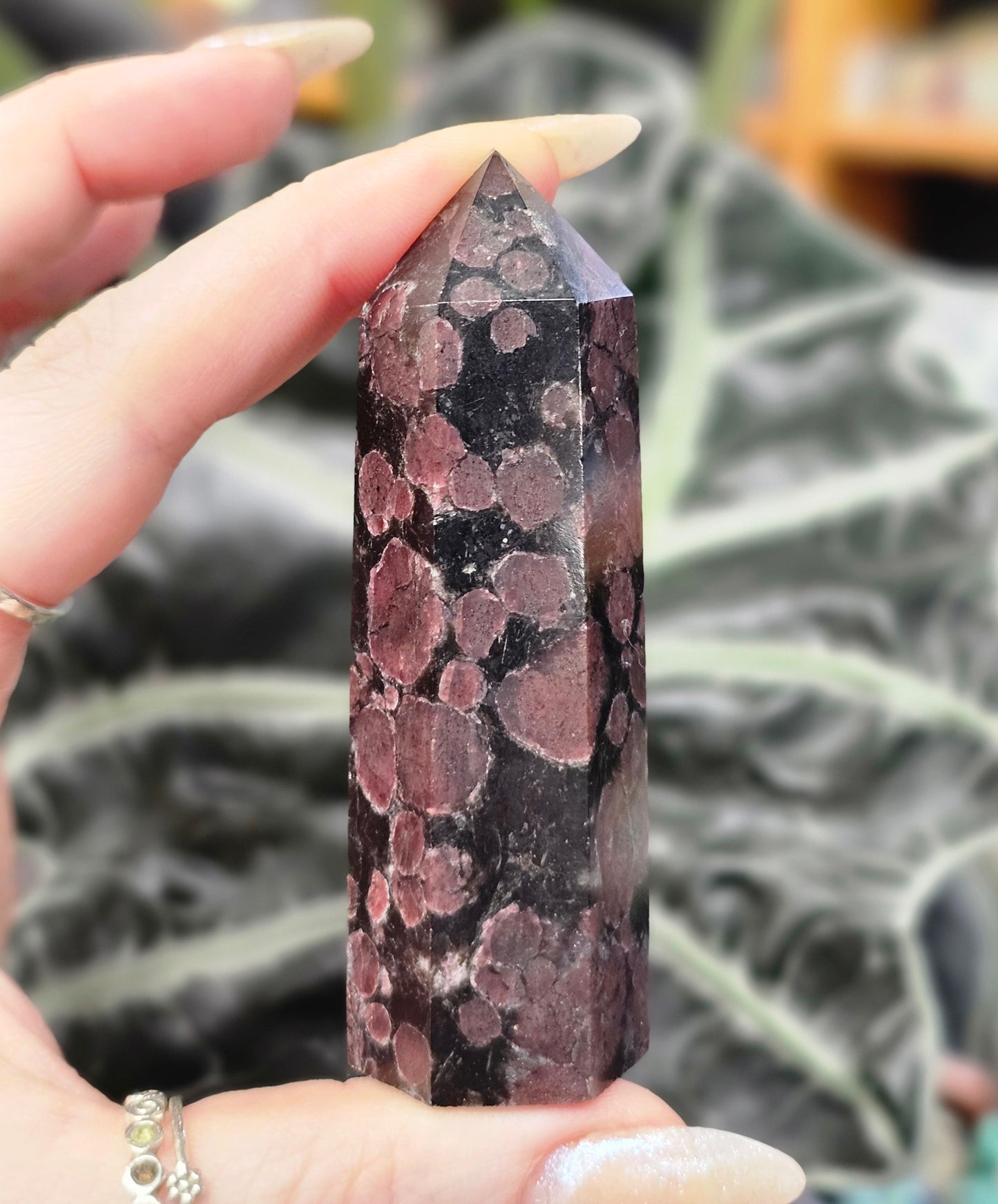 Garnet Astrophyllite Point #2