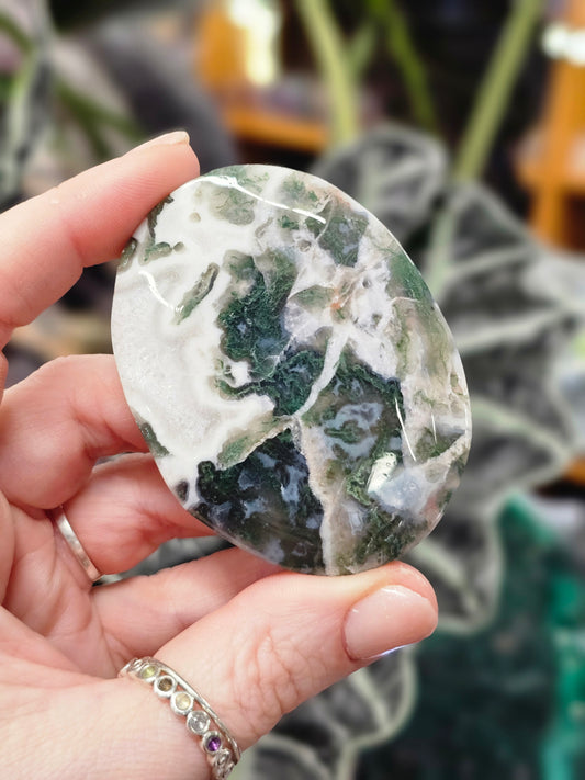 Moss Agate Palm stone #1