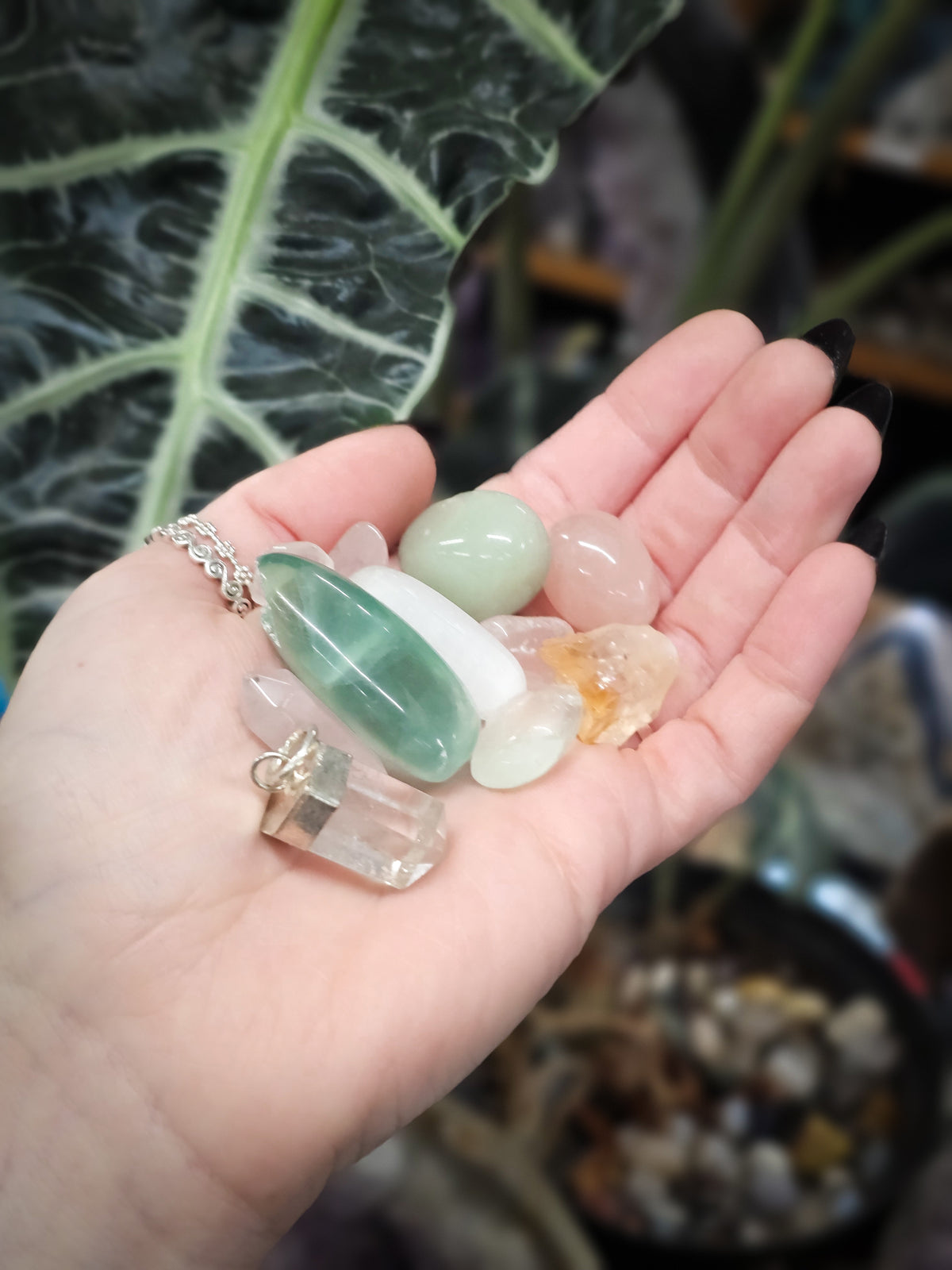 Spring Renewal Single Scoop