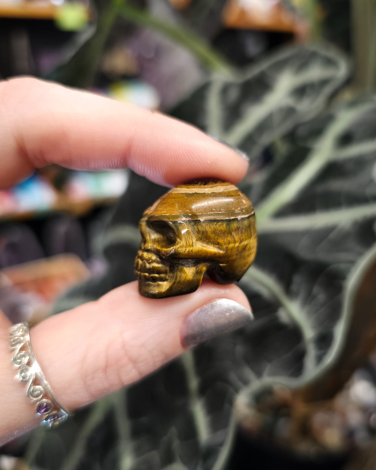 Small Tiger Eye Skull