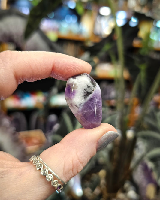 Chevron Amethyst Coffin