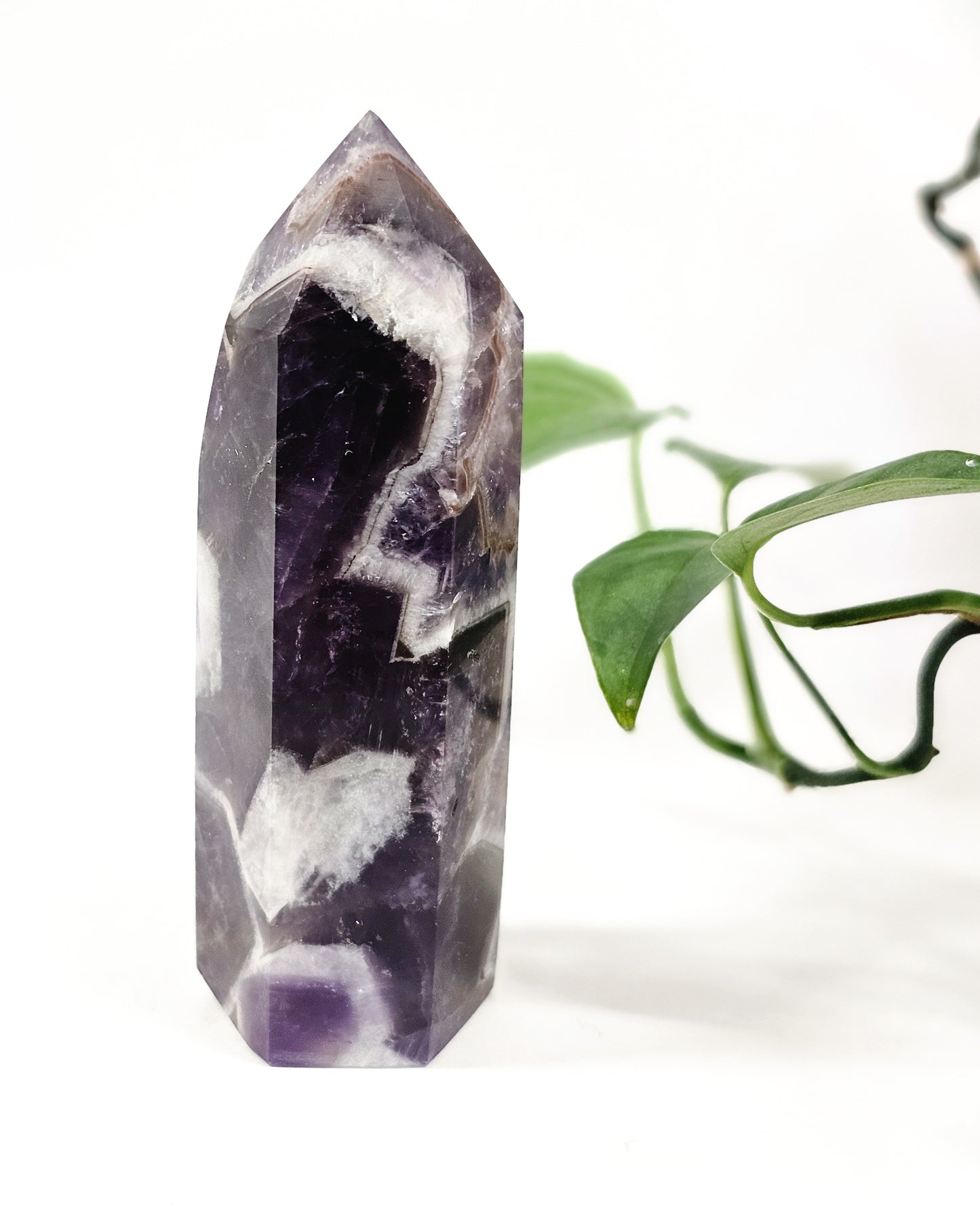 Chevron Amethyst Point #2
