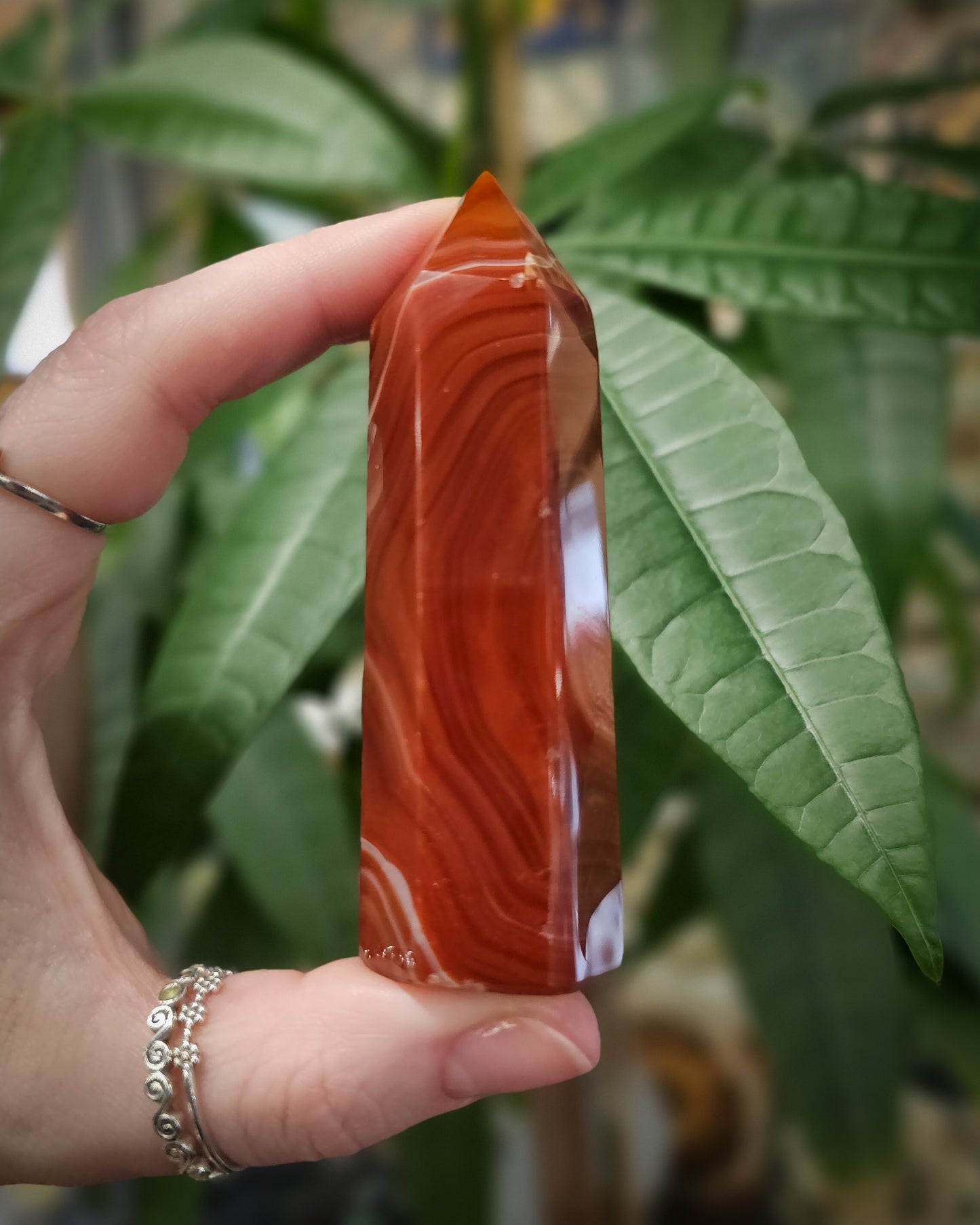 Carnelian Point