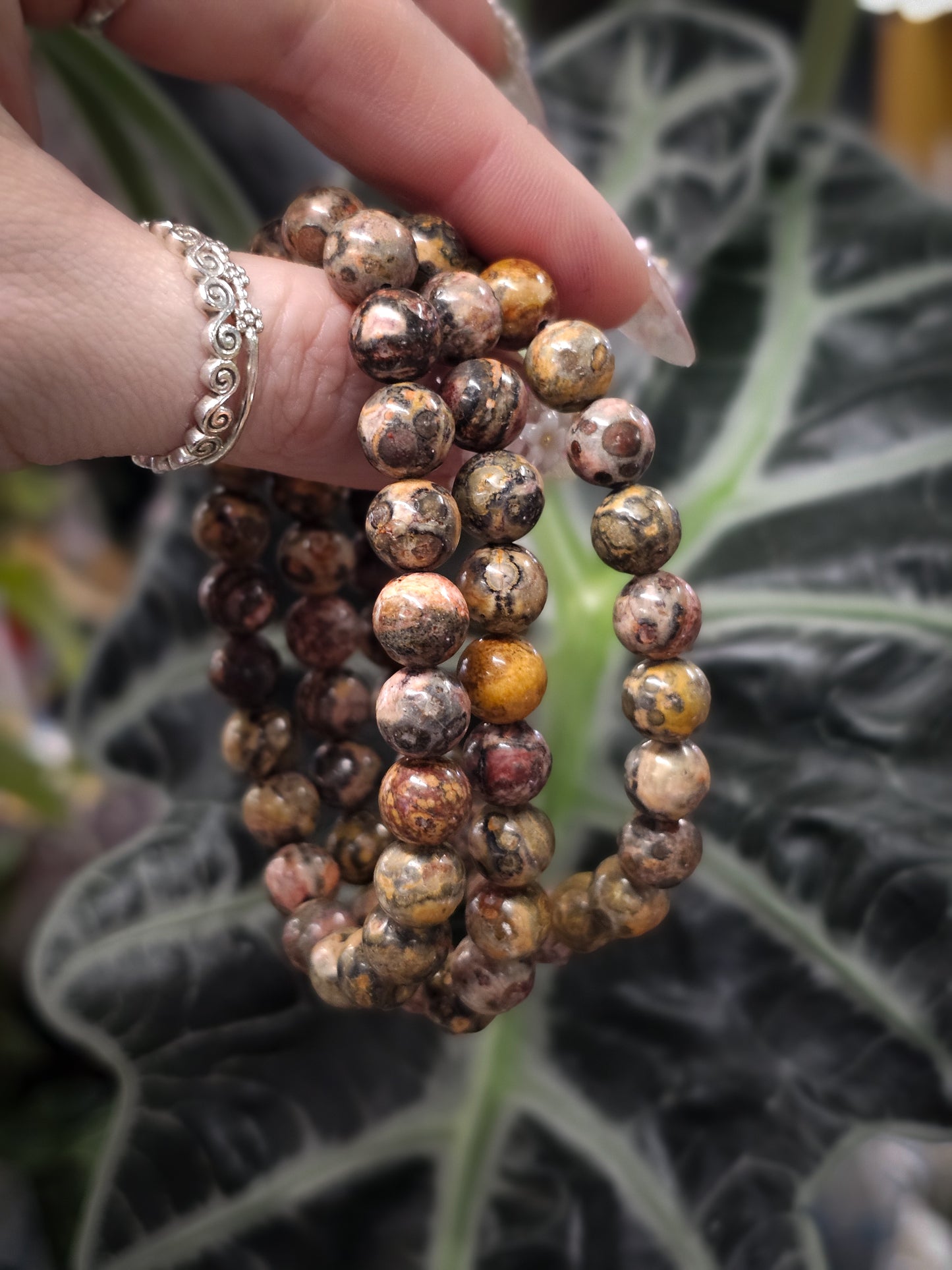 8mm Leopard Skin Jasper Bead Bracelet