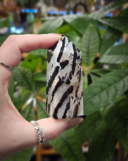 Zebra Jasper Point