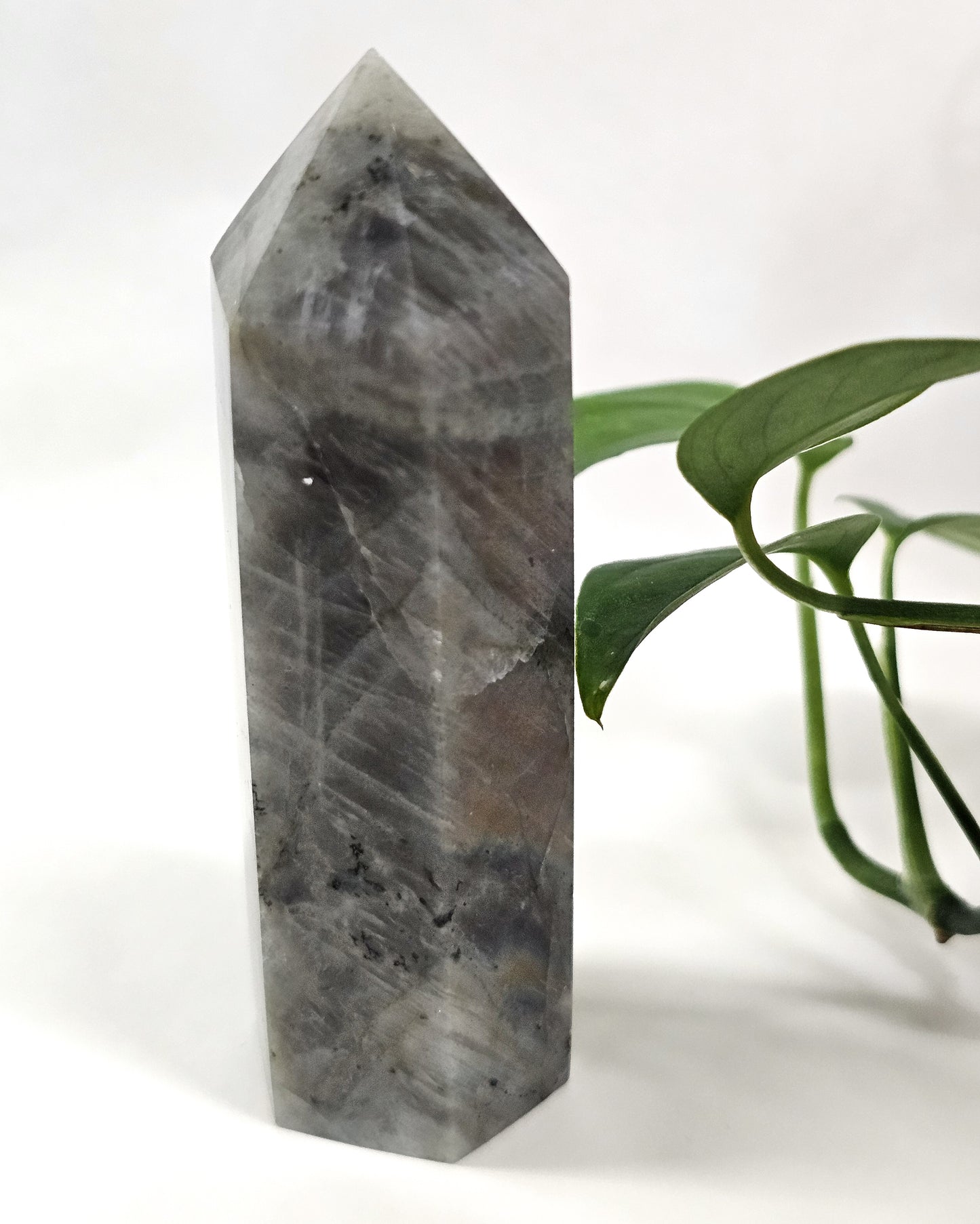 Labradorite Point #2