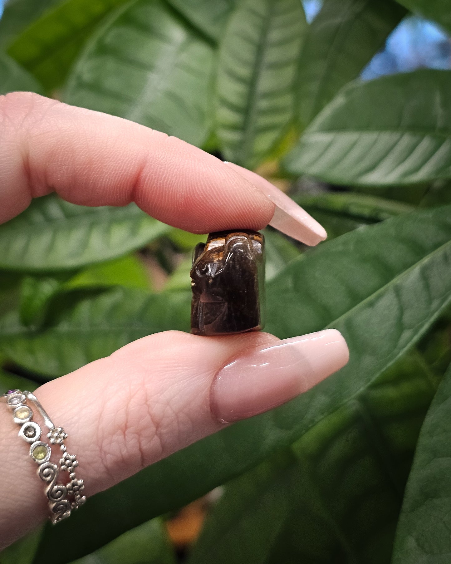 Tiger’s Eye Snail Carving