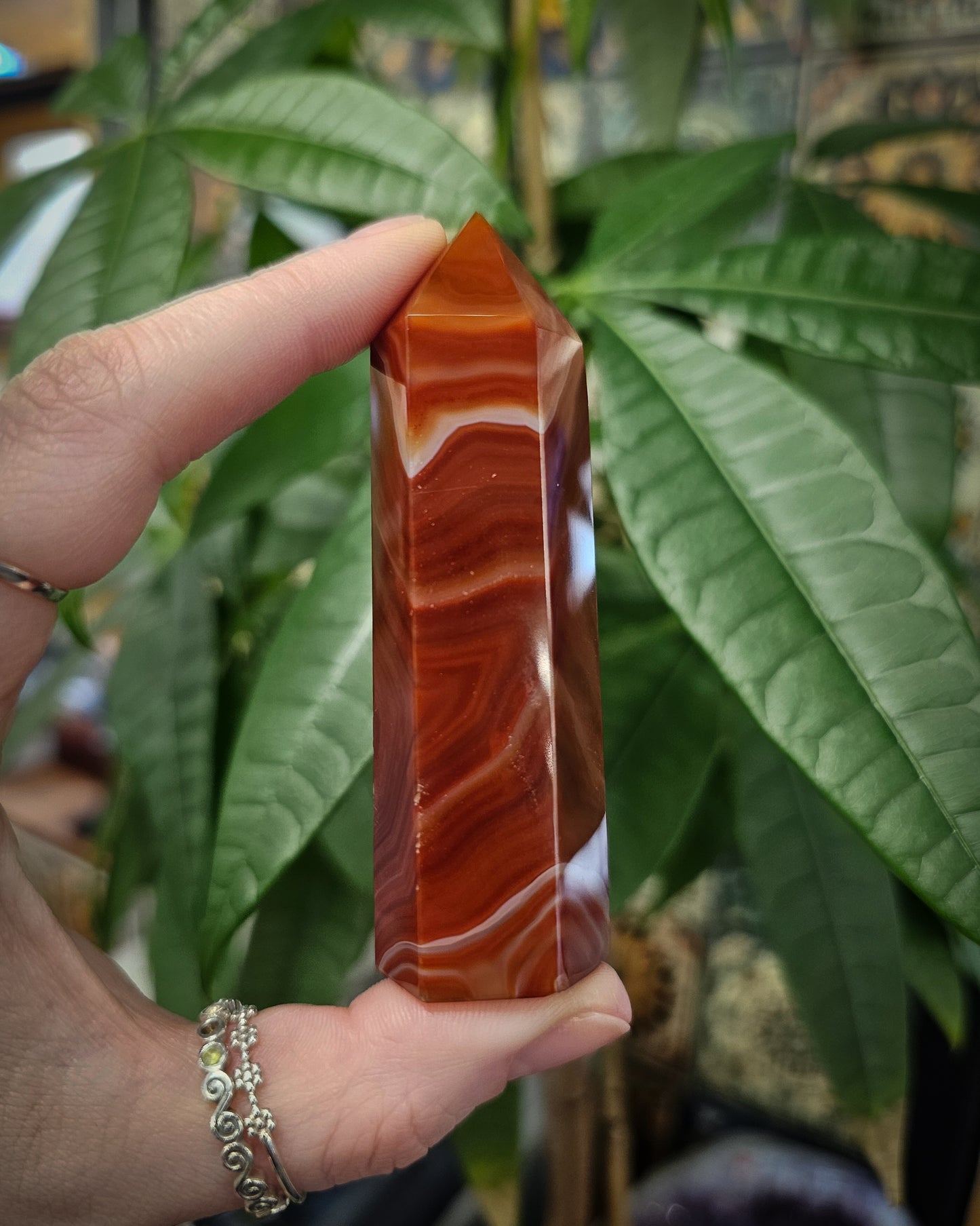 Carnelian Point