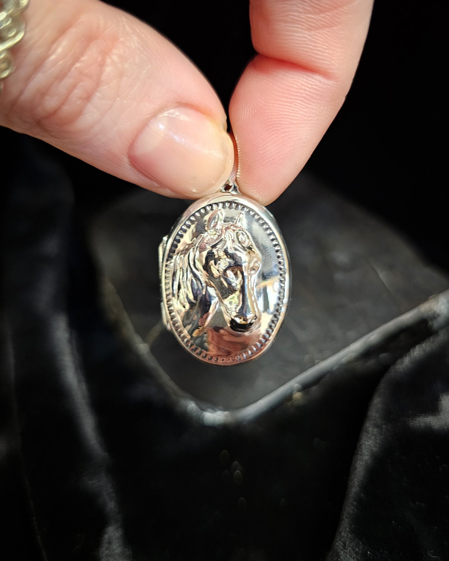 Horse Locket