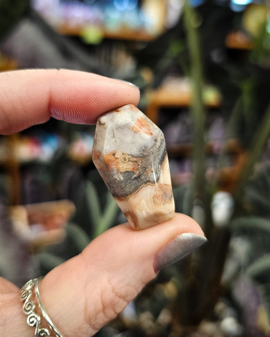 Crazy Lace Agate Coffin