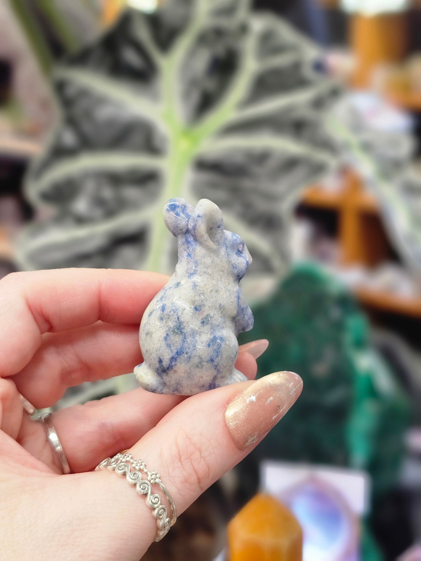 Blue Spot Jasper Bunny