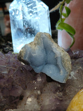 Load image into Gallery viewer, Blue Lace Agate Geode (Medium)
