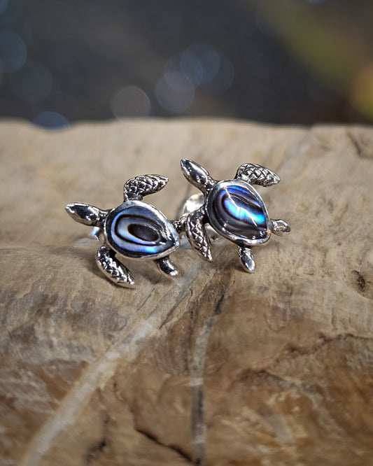Turtle Paua Studs