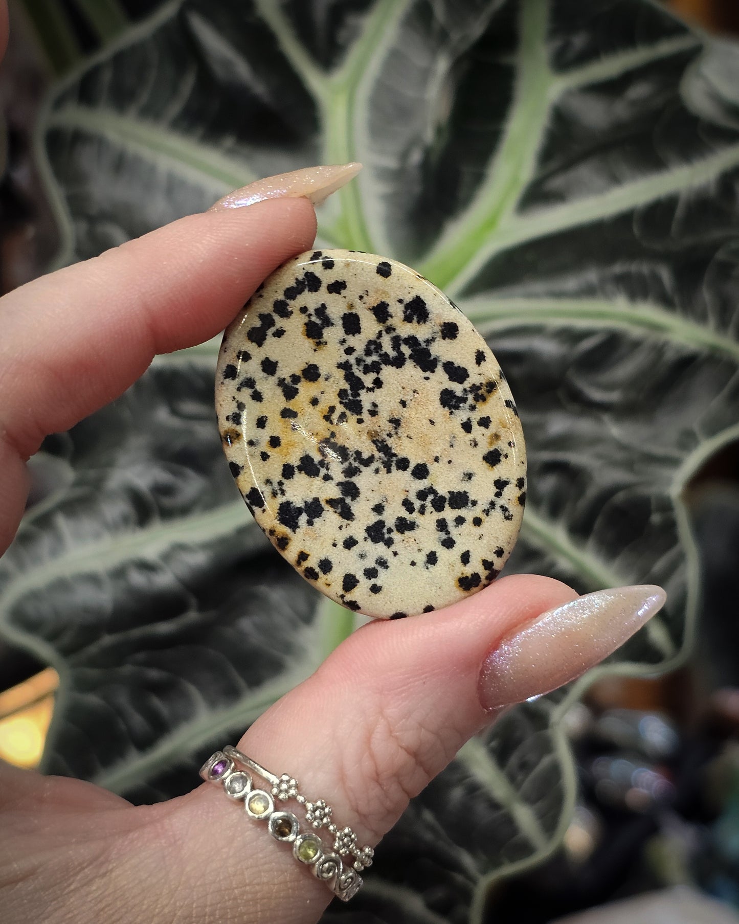 Dalmatian Jasper Worry Stone