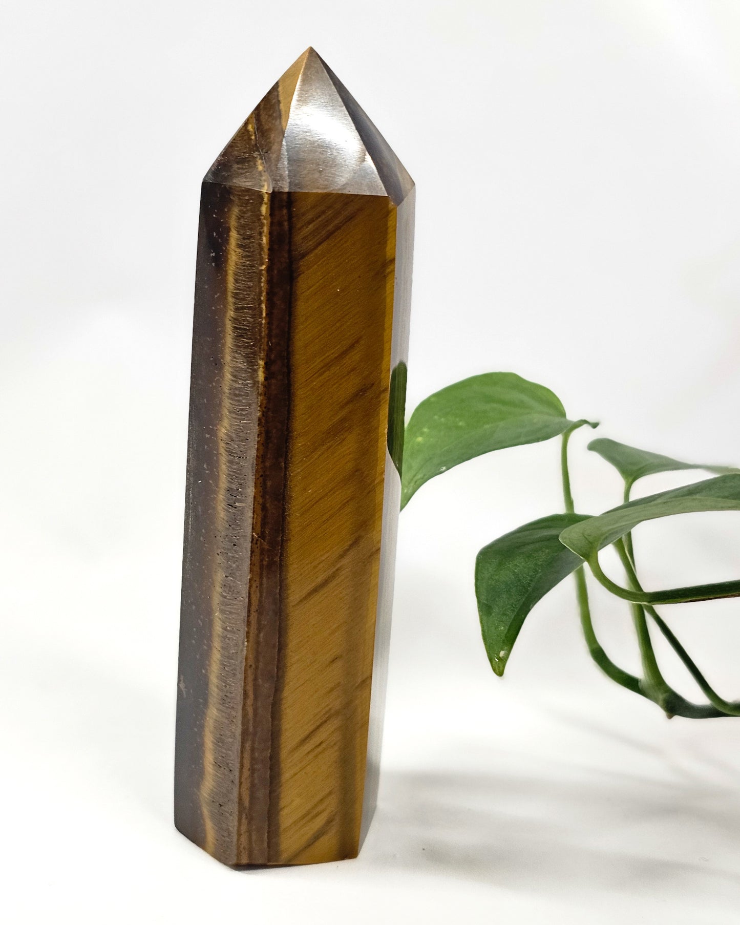Tiger's Eye Point