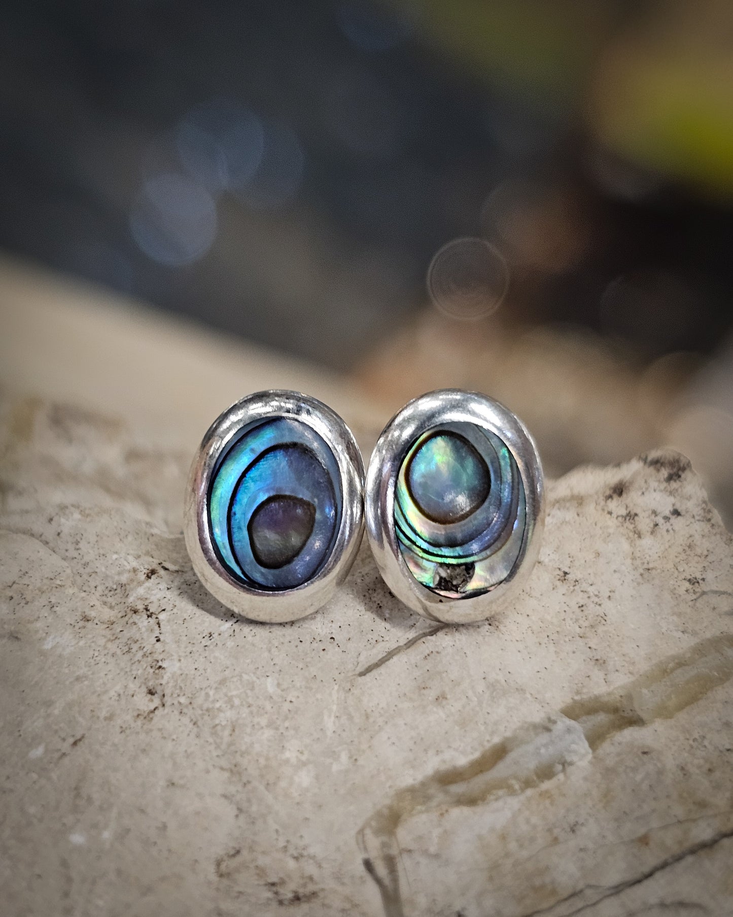 Oval Paua Studs