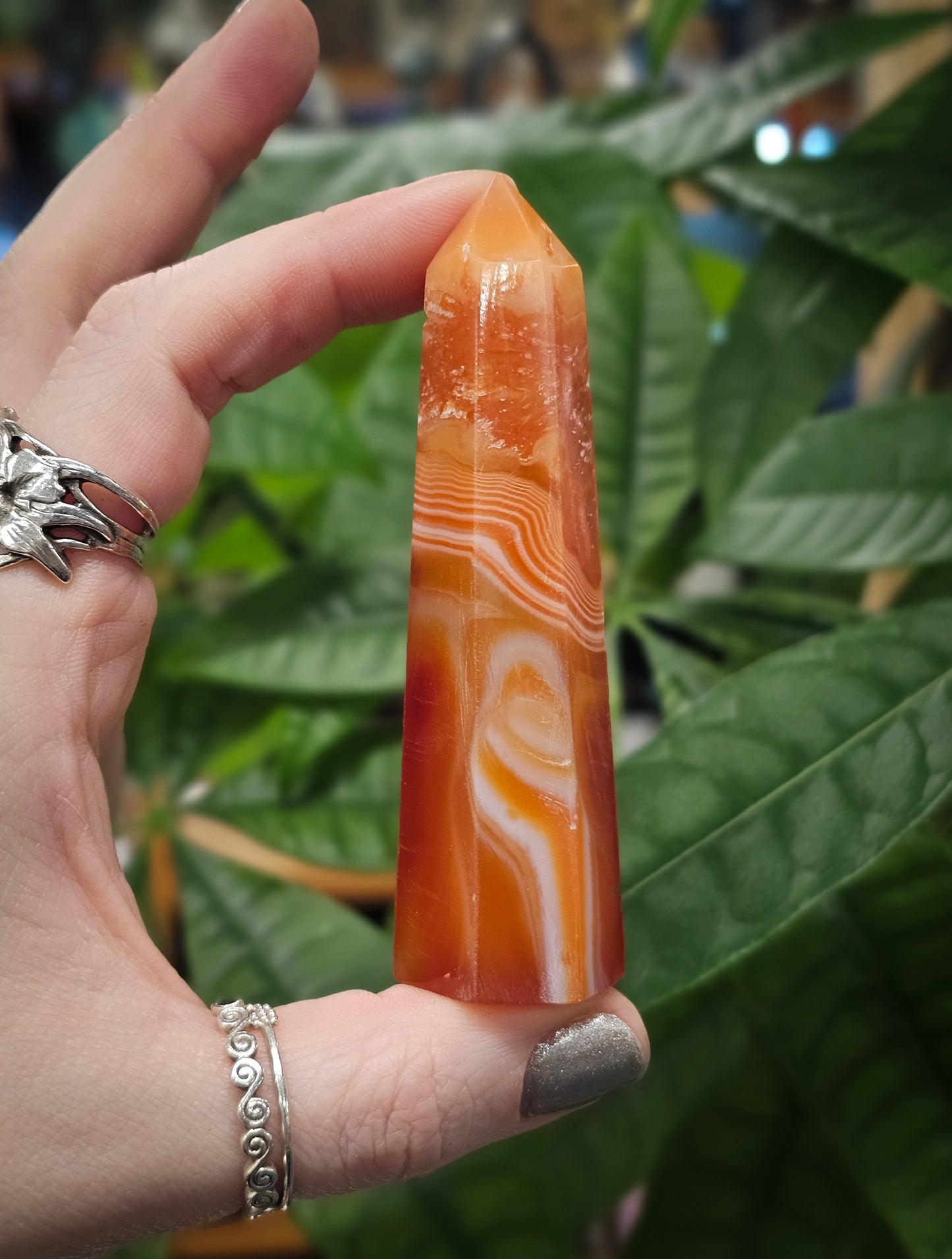 Carnelian Point #2