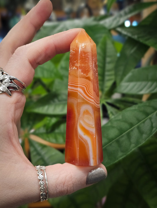 Carnelian Point #2