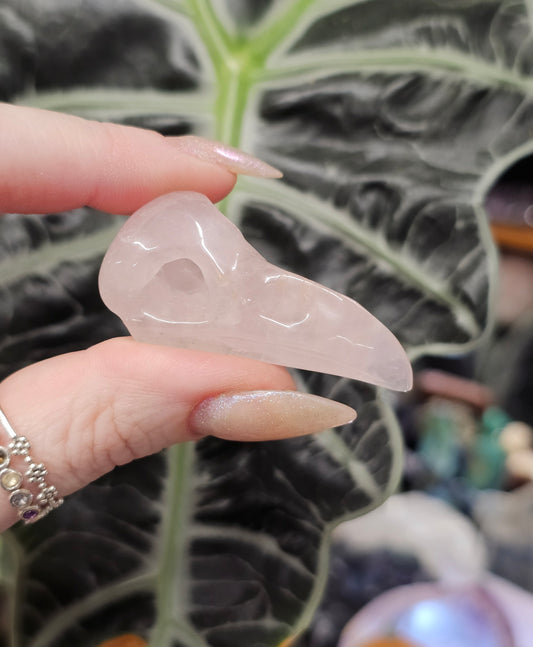 Rose Quartz Bird Skull