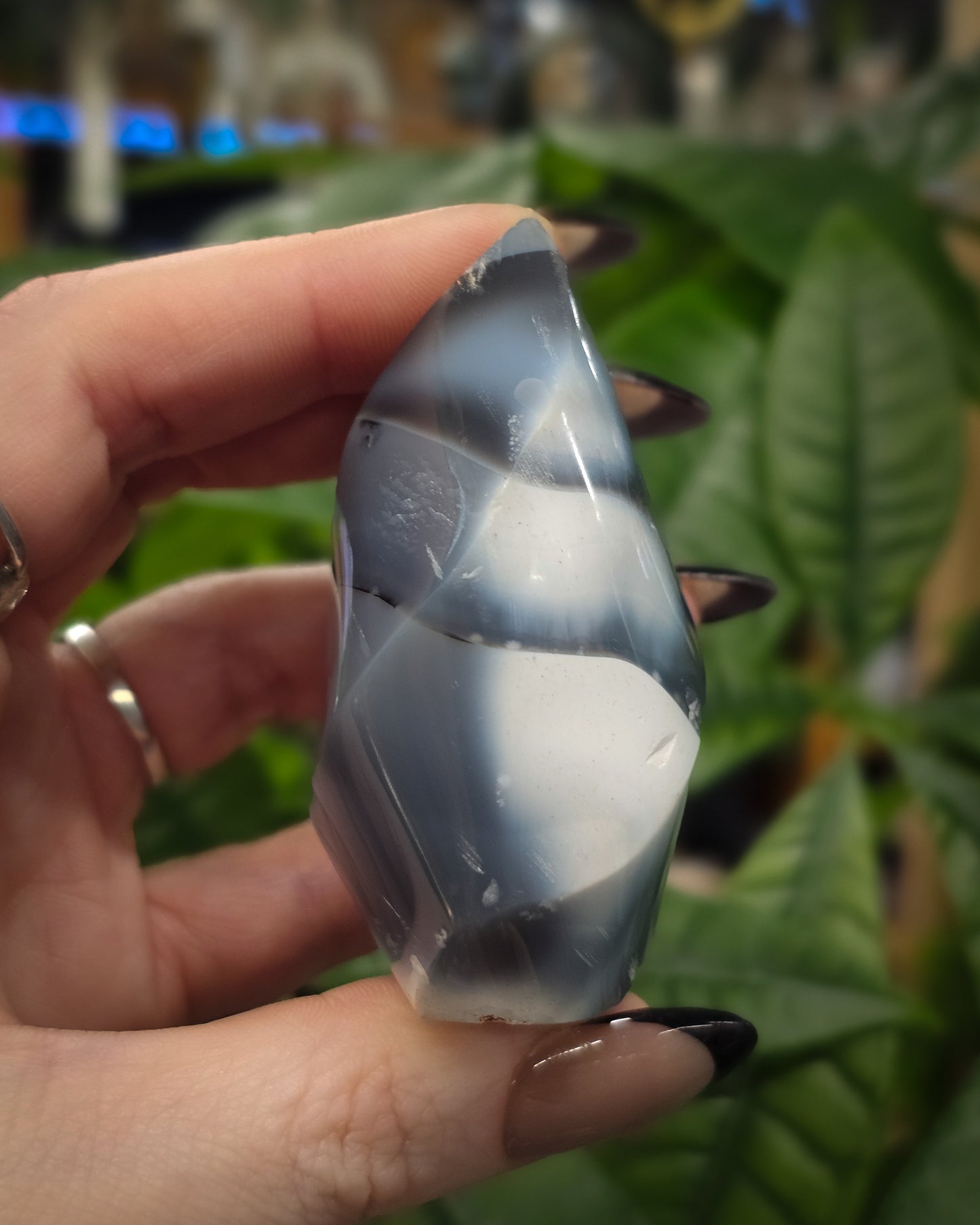 Orca Agate Flame