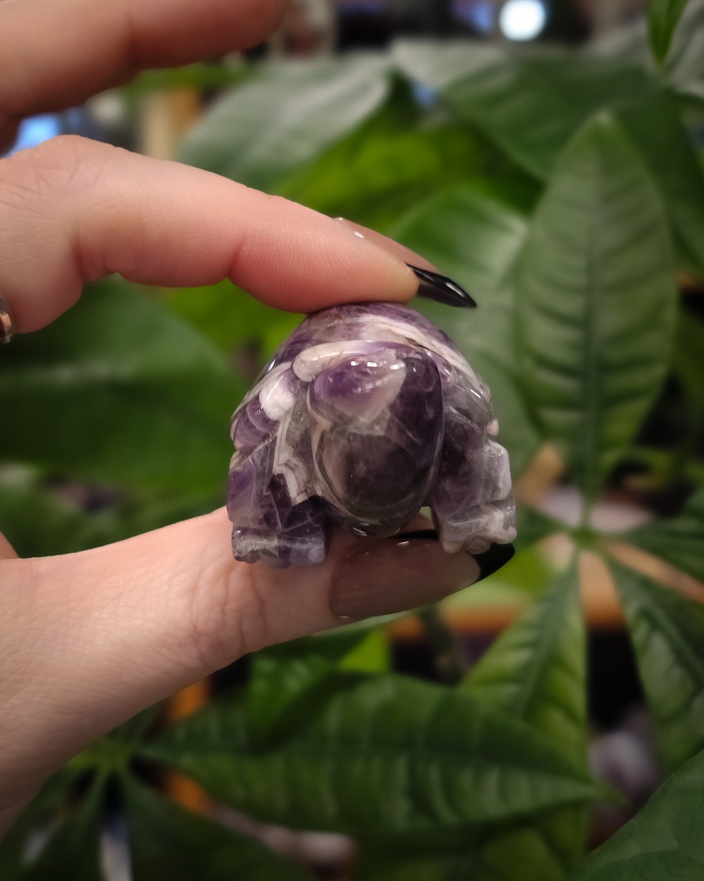 Chevron Amethyst Turtle