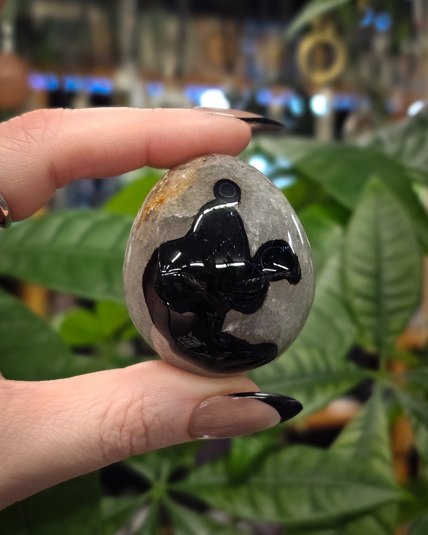 Black Banded Agate Egg #2