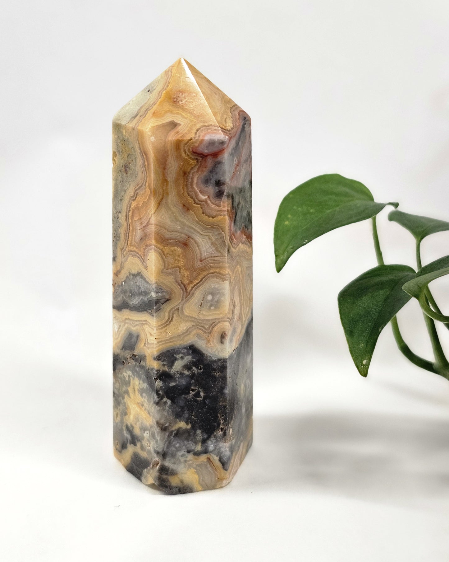 Crazy Lace Agate Point