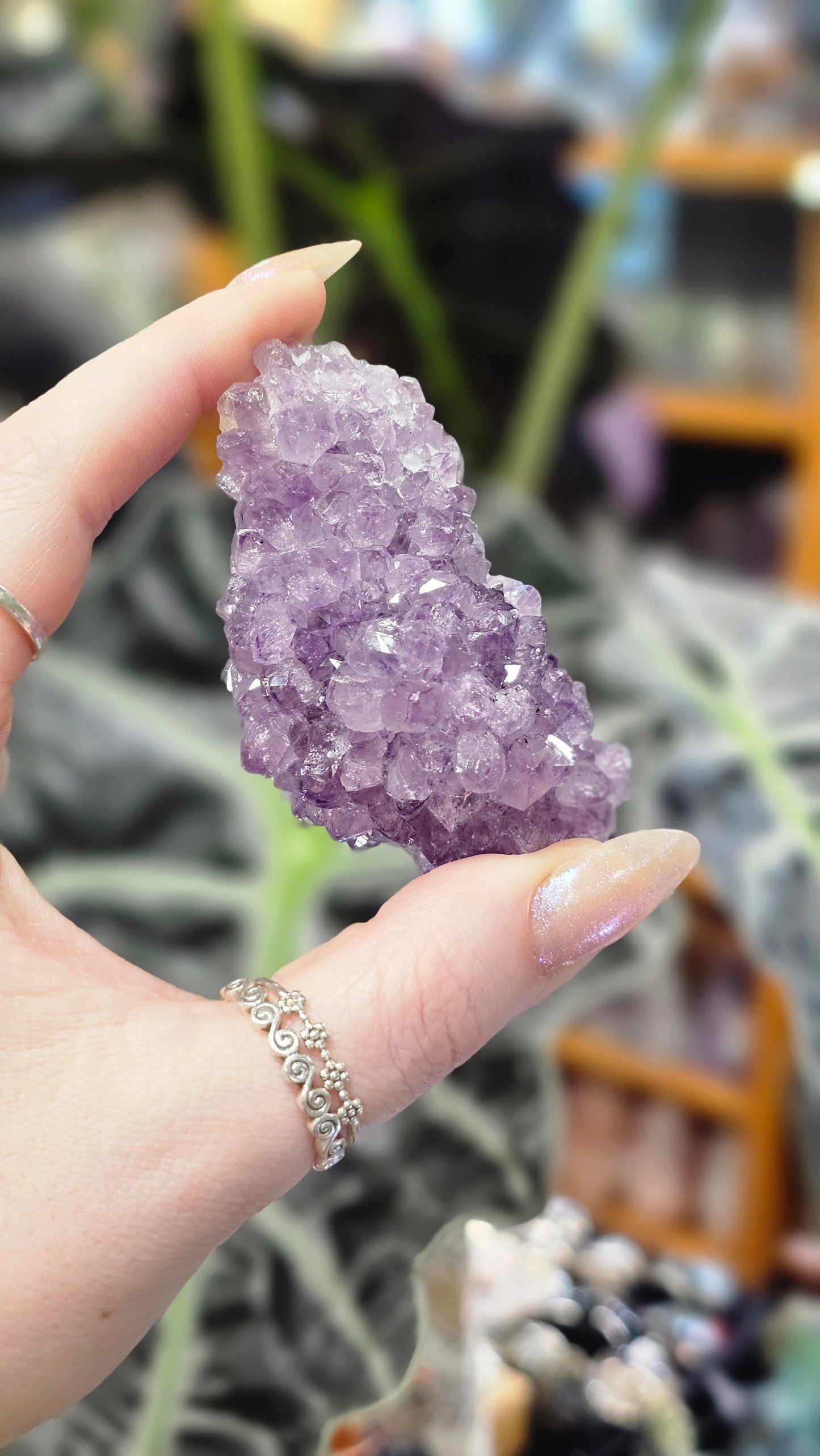 Amethyst Pine Cluster #1