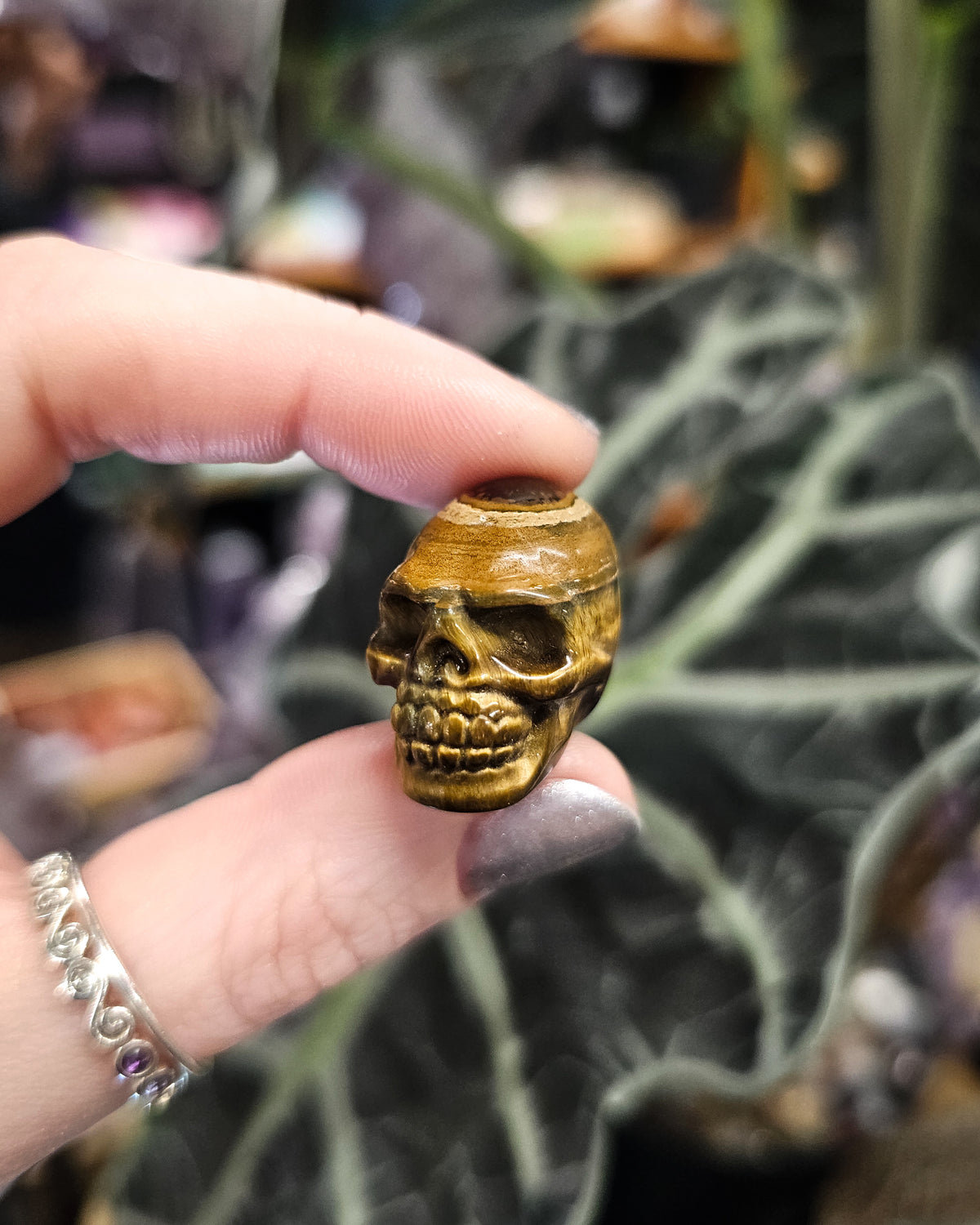 Small Tiger Eye Skull