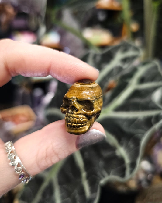 Small Tiger Eye Skull