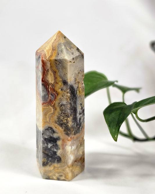 Crazy Lace Agate Point