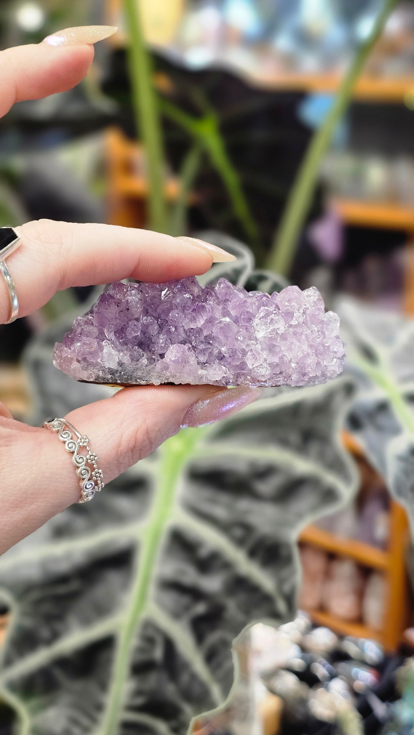 Amethyst Pine Cluster #1