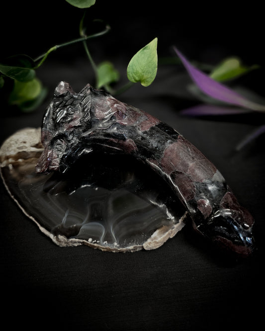 Garnet Wolf Head Dong